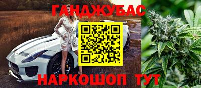 шишки Моздок