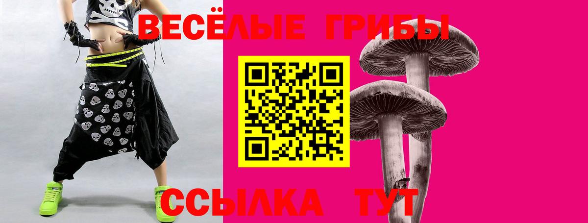 Углич  Псилоцибиновые грибы мицелий  Вход с VPN 